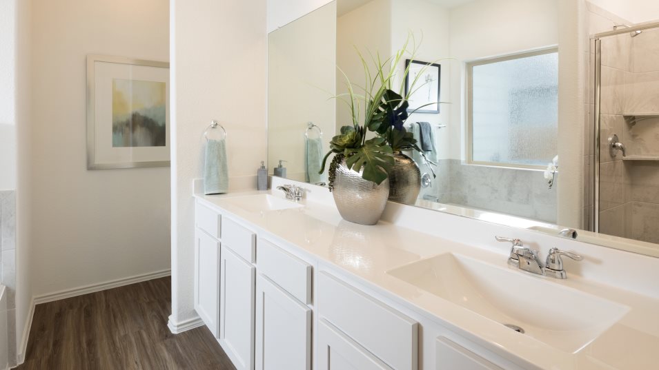 Owners Bathroom