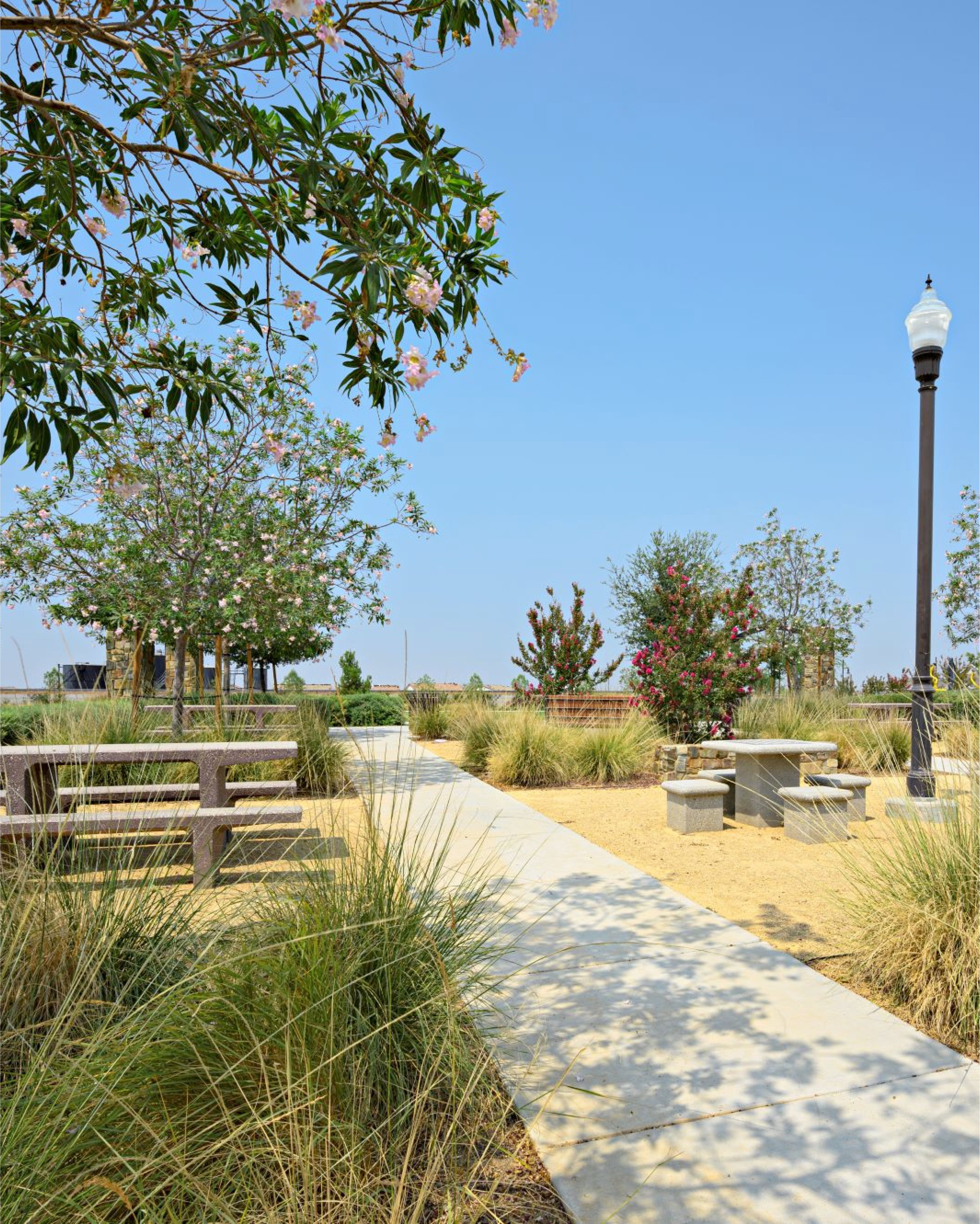 Walking Trails