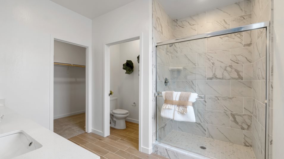 Owner's Suite Glass Enclosed Shower