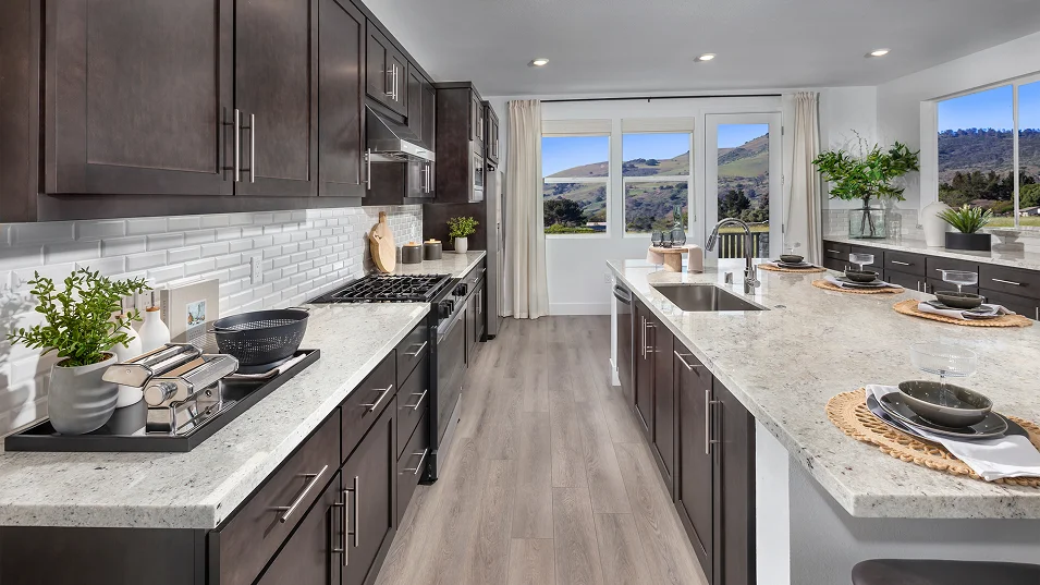 Hawthorn Hills Lagoon Valley Res1 Kitchen 2of2 F1