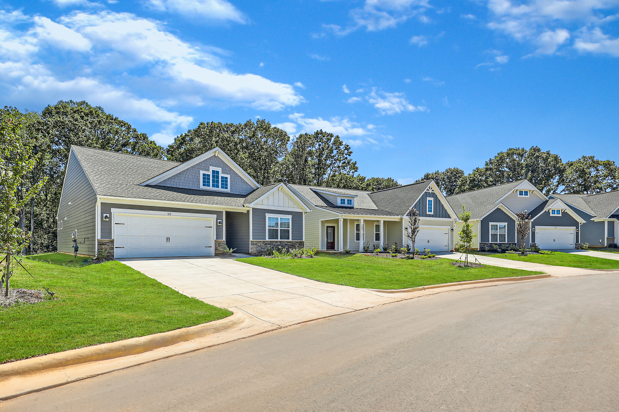 Meadows Streetscape 7of10