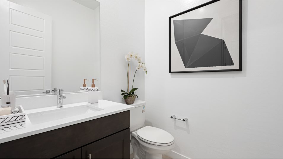 Powder room interior
