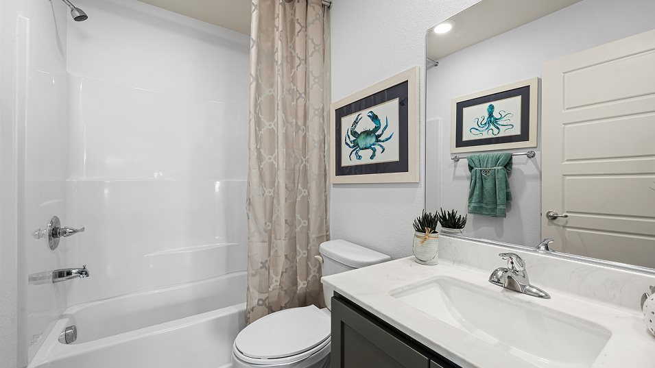 Eden Bathroom 2