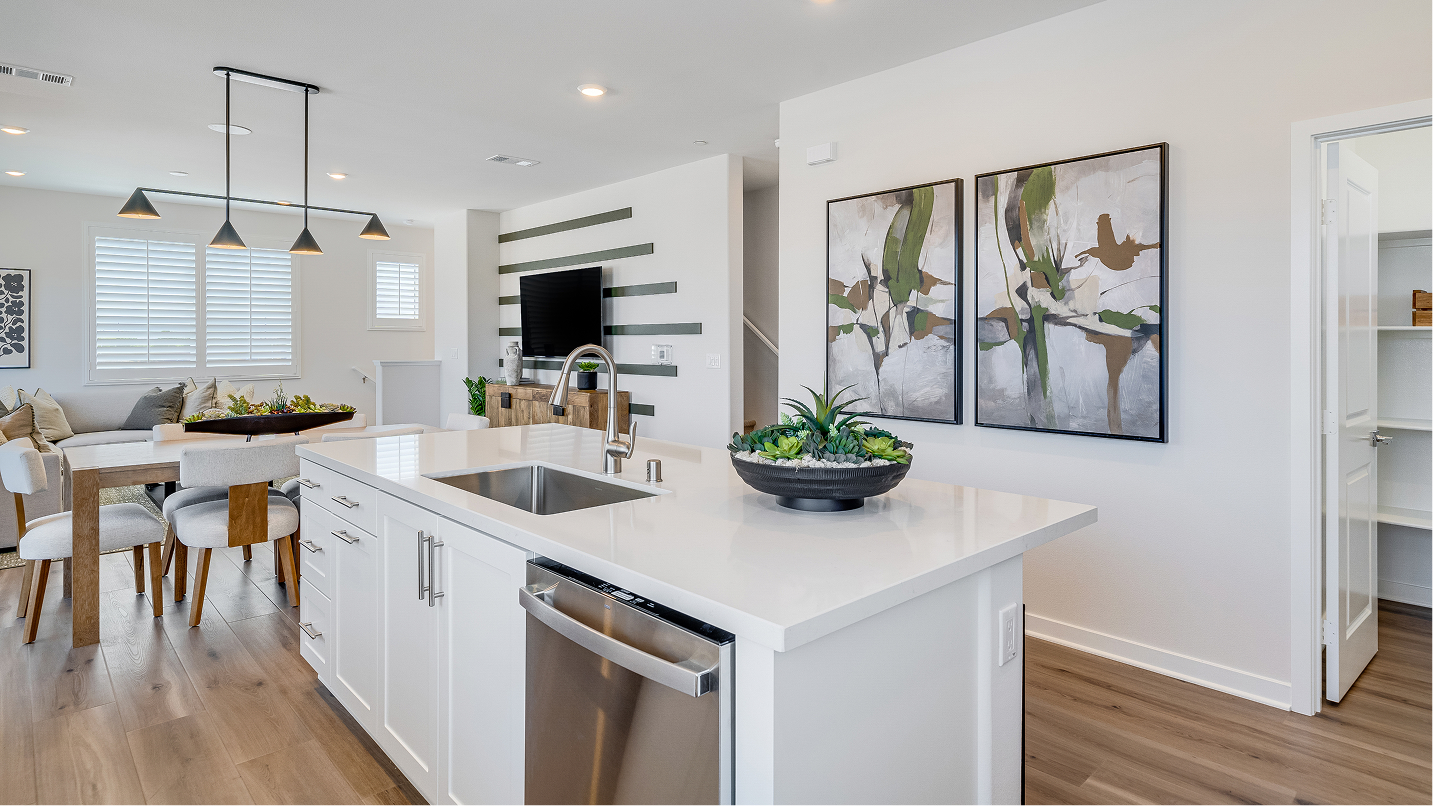 Allure Nuvo Parkside Res3 Kitchen 5of6 F2