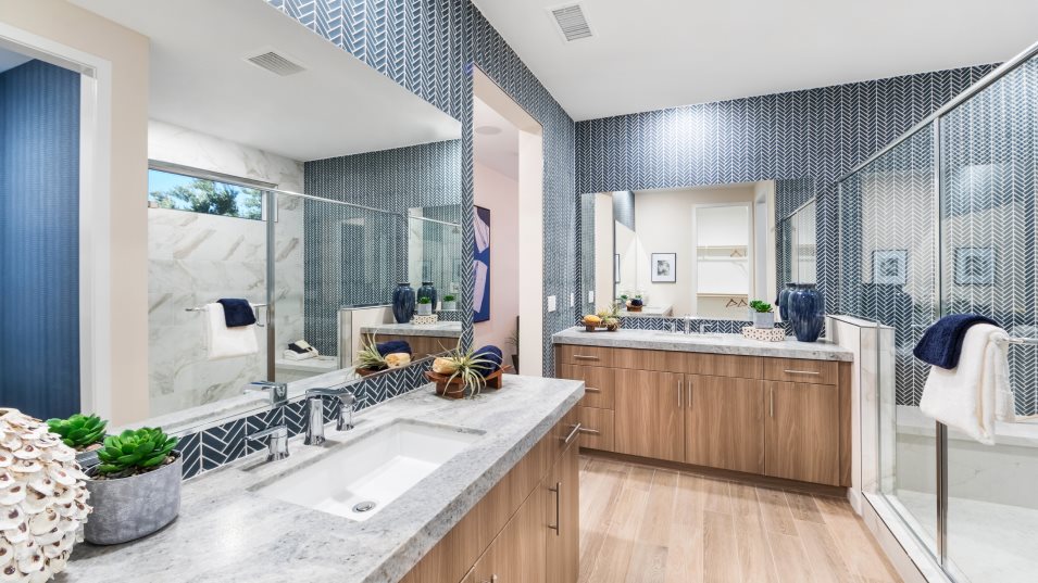 Owners bathroom