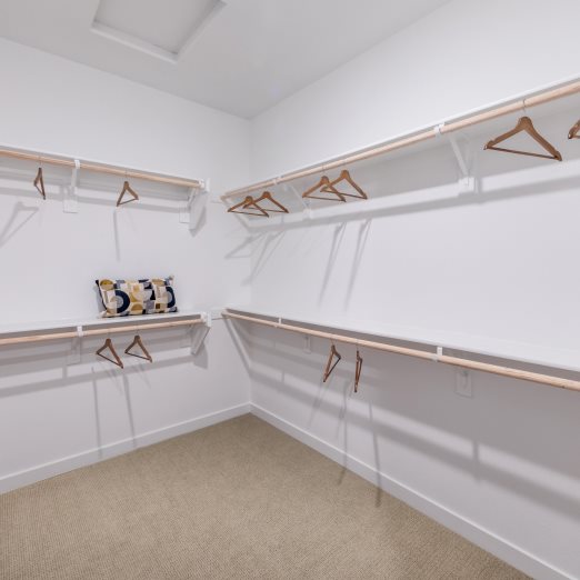 Owners walk in closet