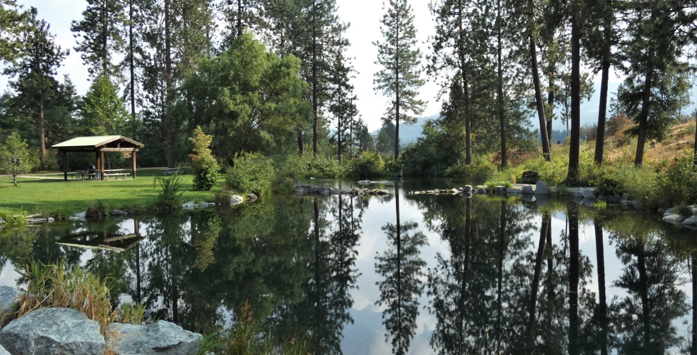 Fish pond surrounded by trees and grass. There is a covered picnic area in the background