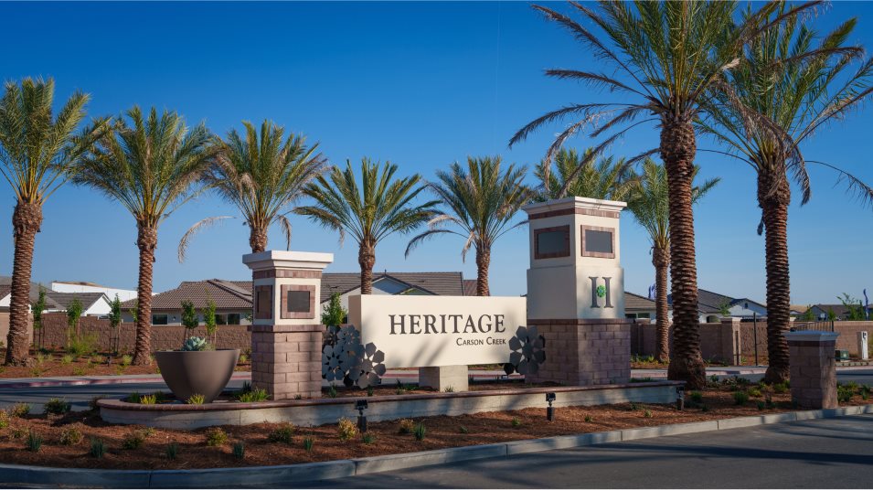 Gated amenity entrance to community lined with palm tree
