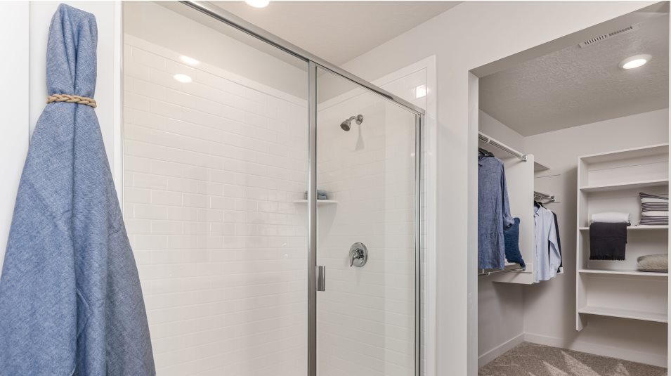 Owner's bathroom shower