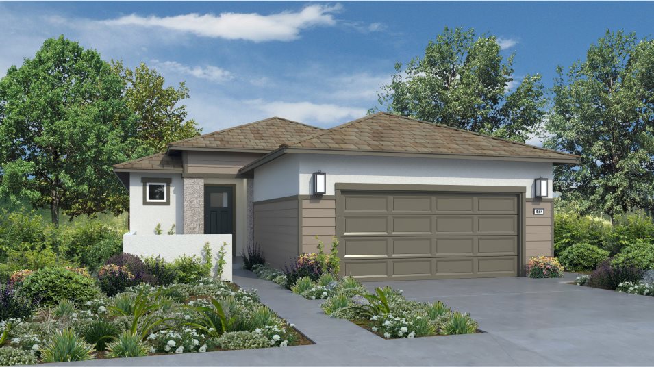 Copy of Molise Res1260 Prairie B 