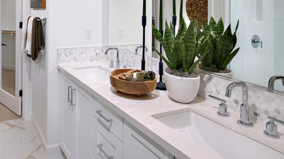dual sinks