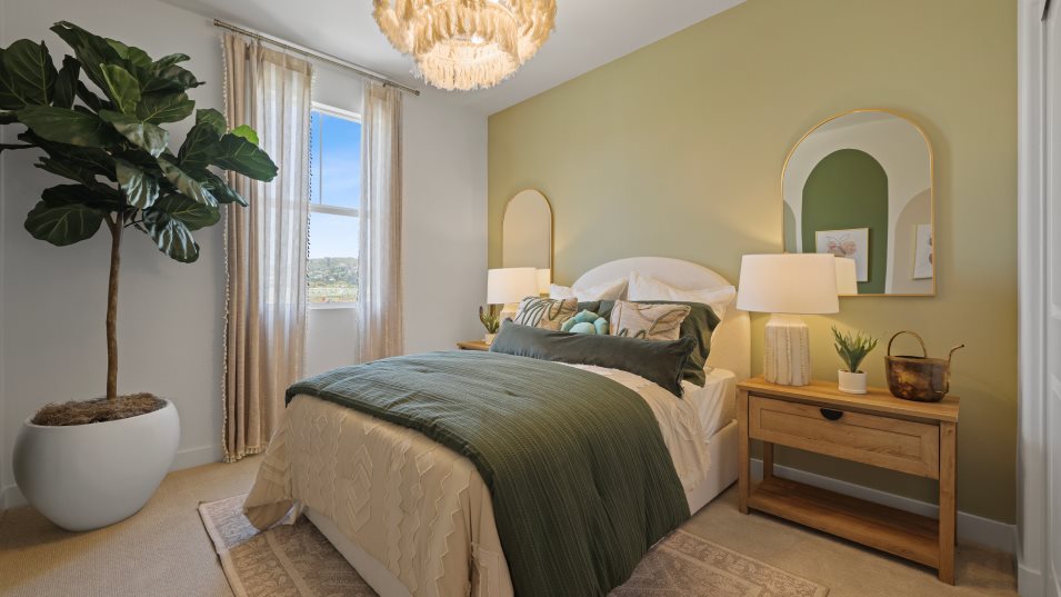Olive 2X Bedroom 2
