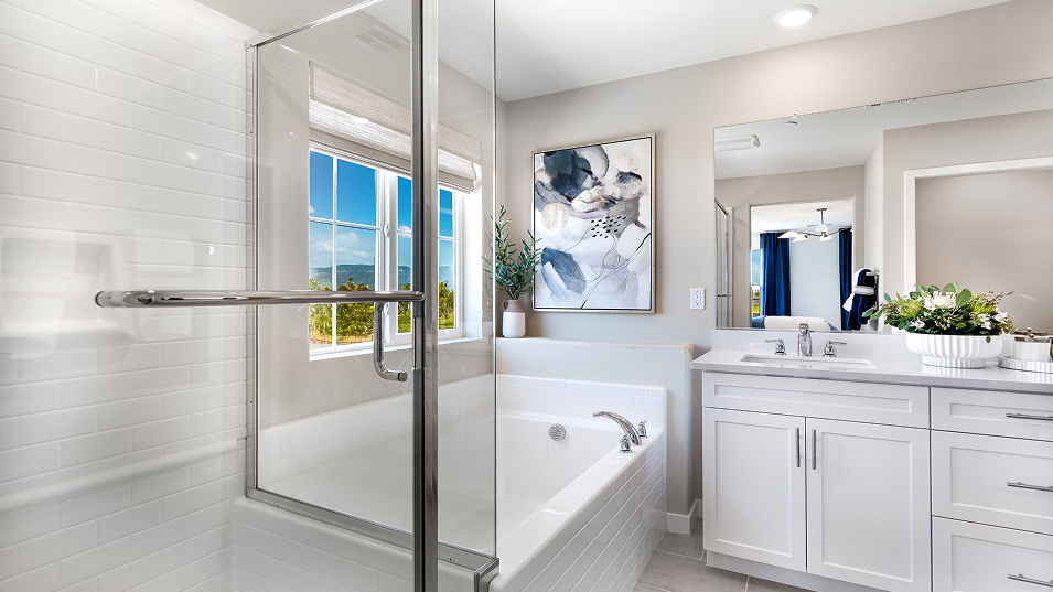 061325 Aviator Renaissance Res1 Owners Bath 1of2 F2