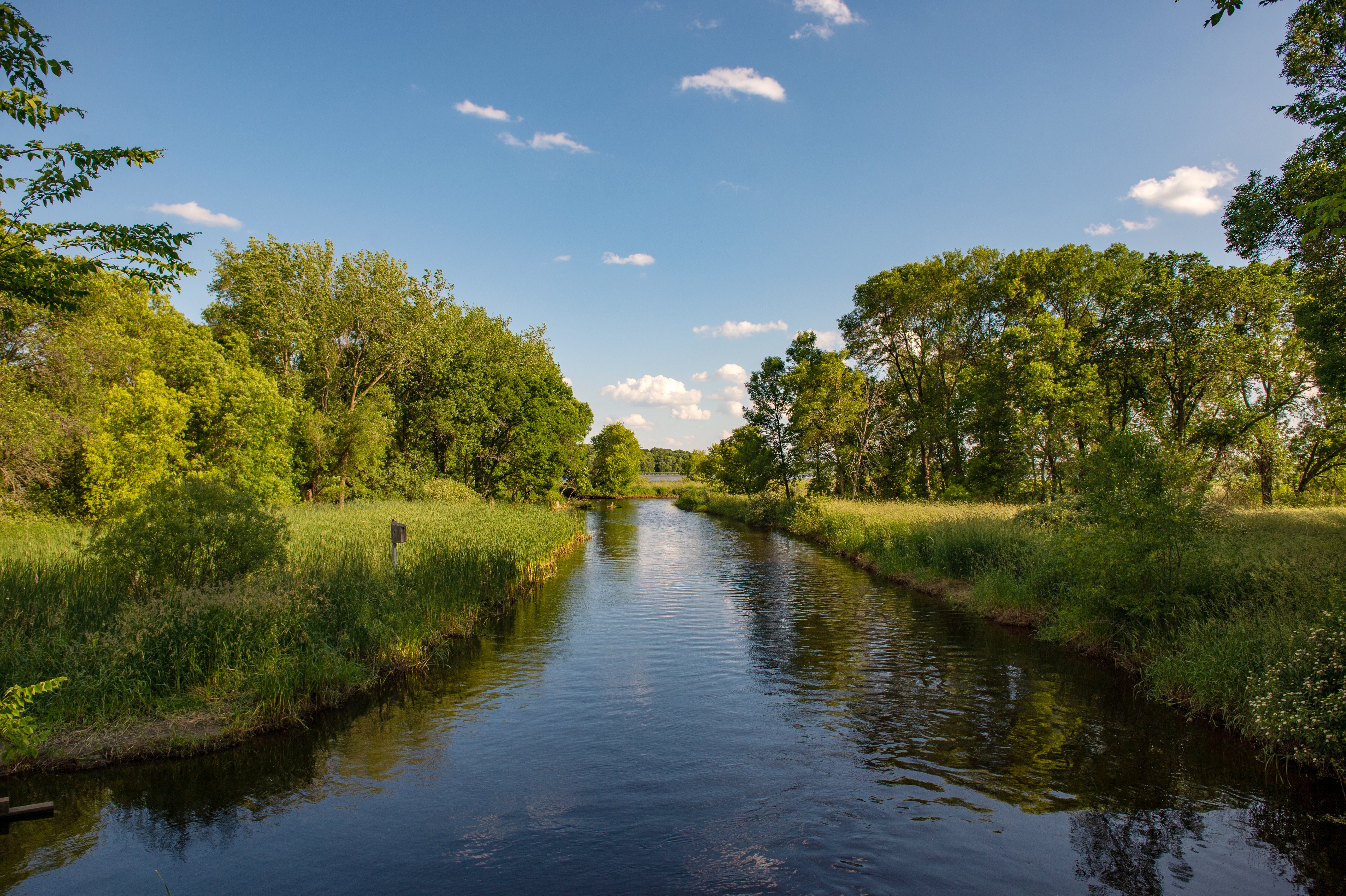 Lino Lakes007