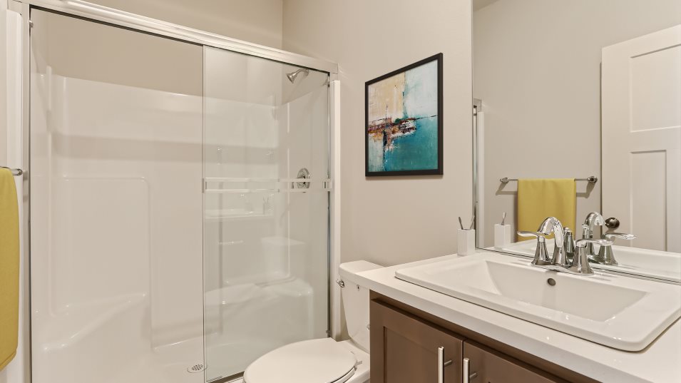 Bainbridge Next Gen bathroom