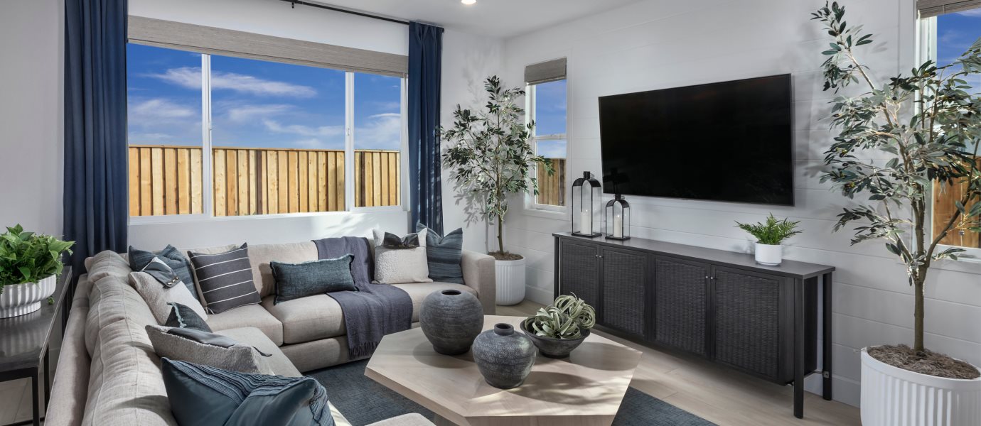 Residence C4 Family Room