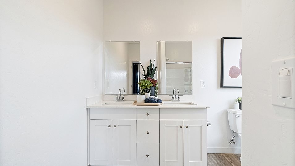 Jewel owners bathroom