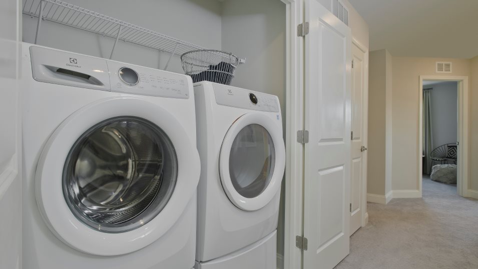 Ellicott Laundry