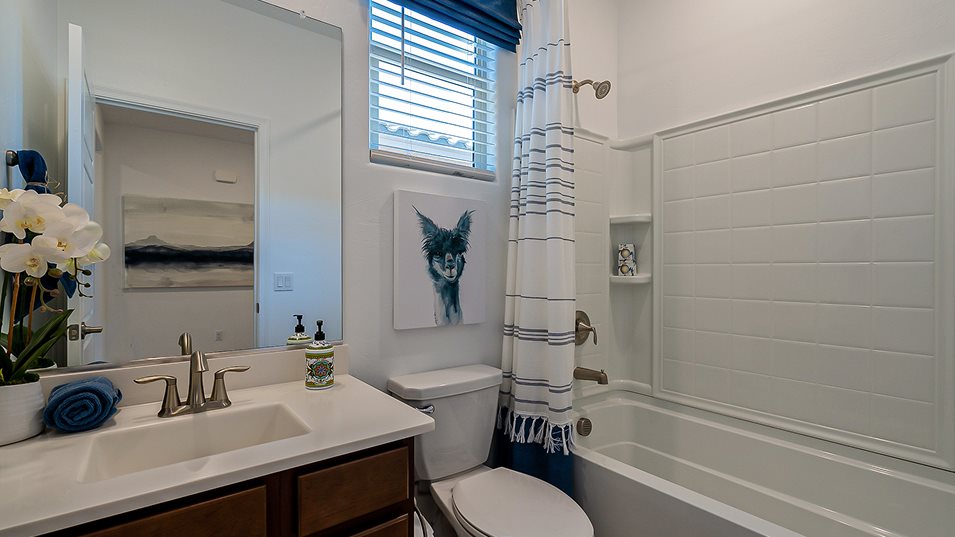 Mesquite Bathroom 2
