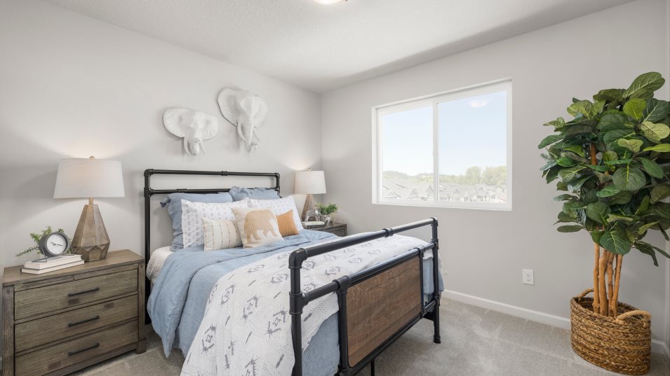 Arlington Bedroom 3