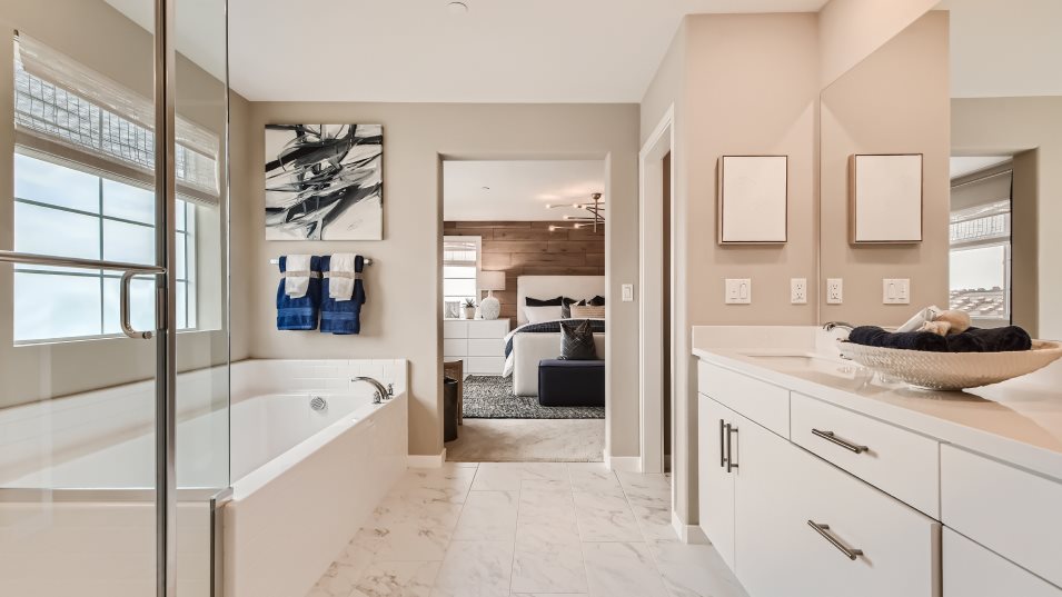 Owner's suite bathroom with tub and separate shower
