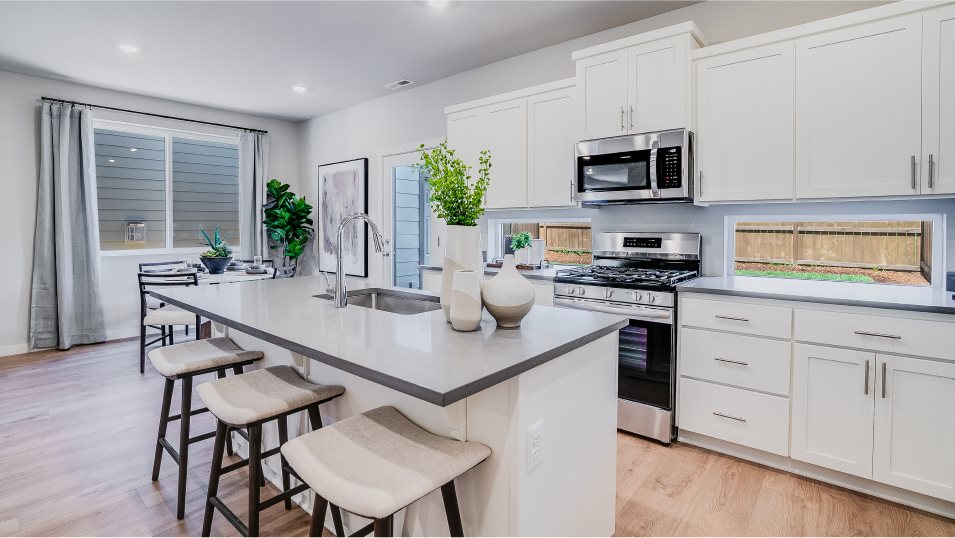 Stella Kitchen