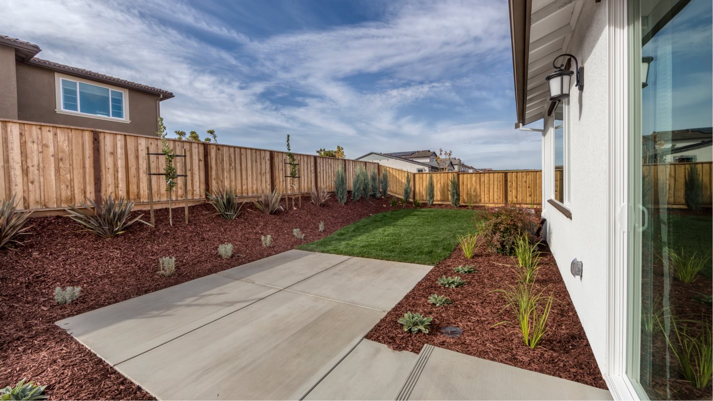 Exterior Backyard