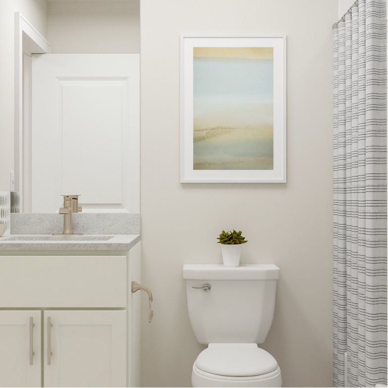 Savannah bathroom vanity and toilet