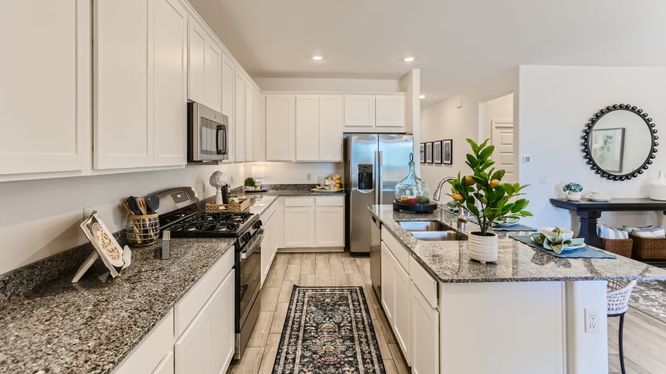 Odyssey Kitchen