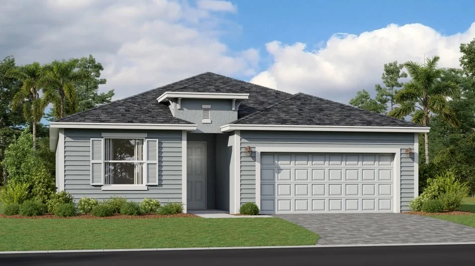 Areca elevation D