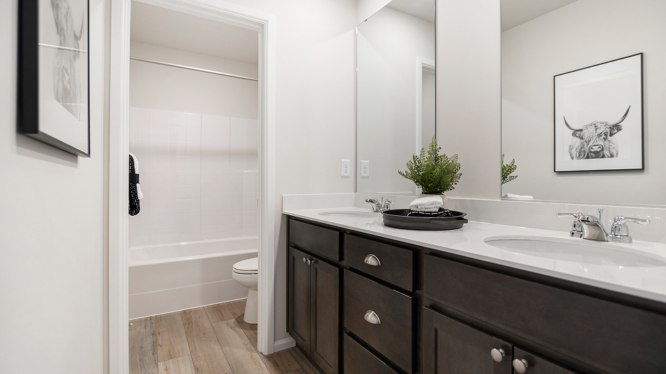 3215 Bainbridge II Bath2 F2