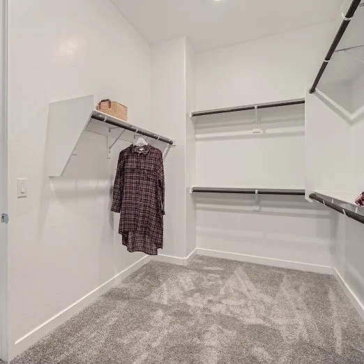 Owners walk in closet