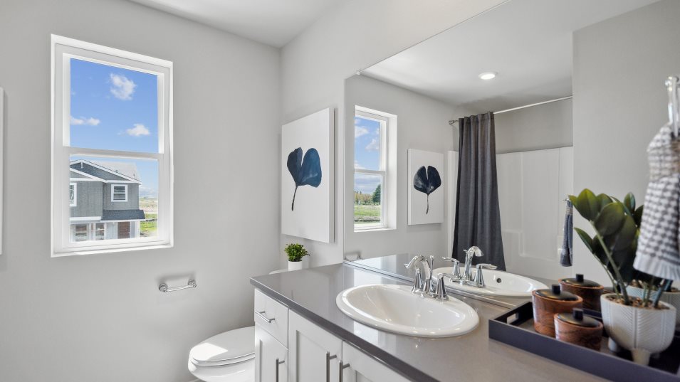 Season Bathroom 2