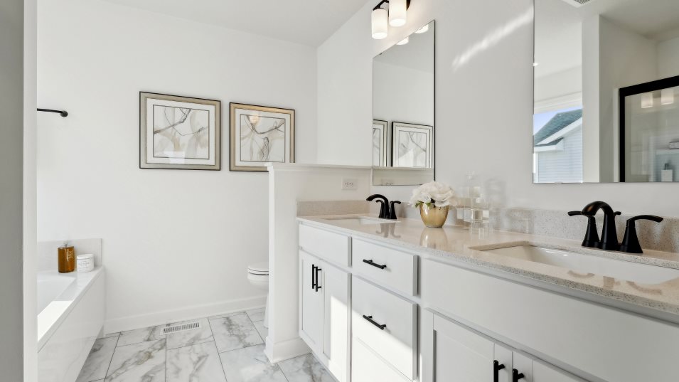 Springfield Owners Bathroom
