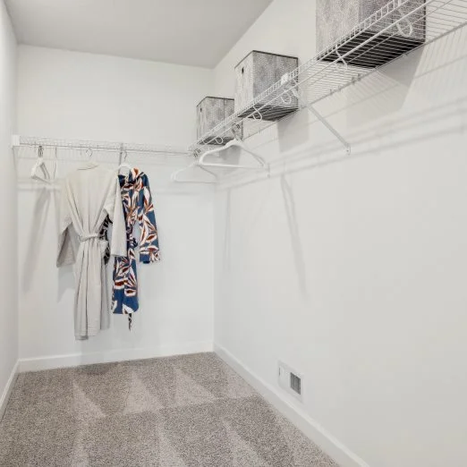 Springfield Owners Walk in Closet