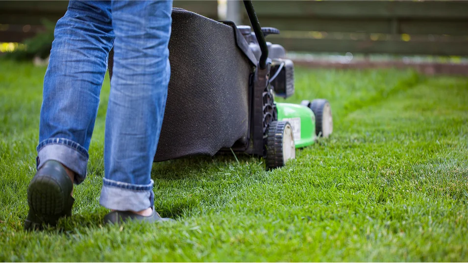 N Pic Decor Home Lawnmower