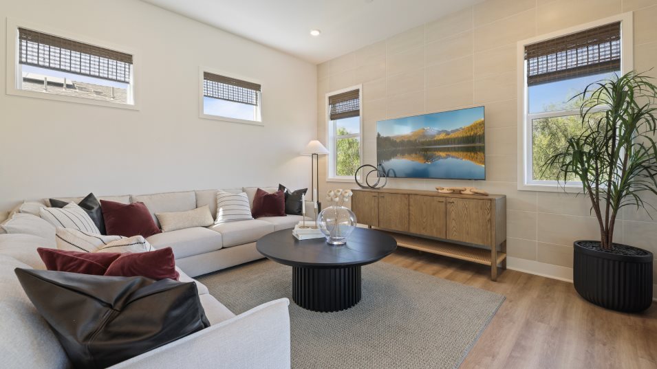 Aluna 1X family room
