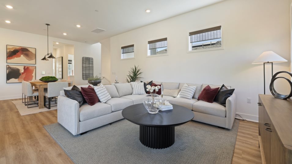 Aluna 1X family room