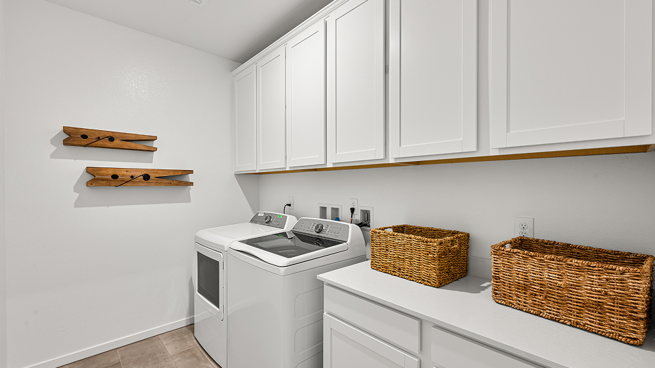 2590 Mike Laundry F2 Base2