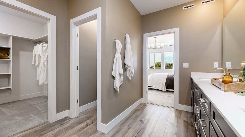 Owner's Bathroom Closet View