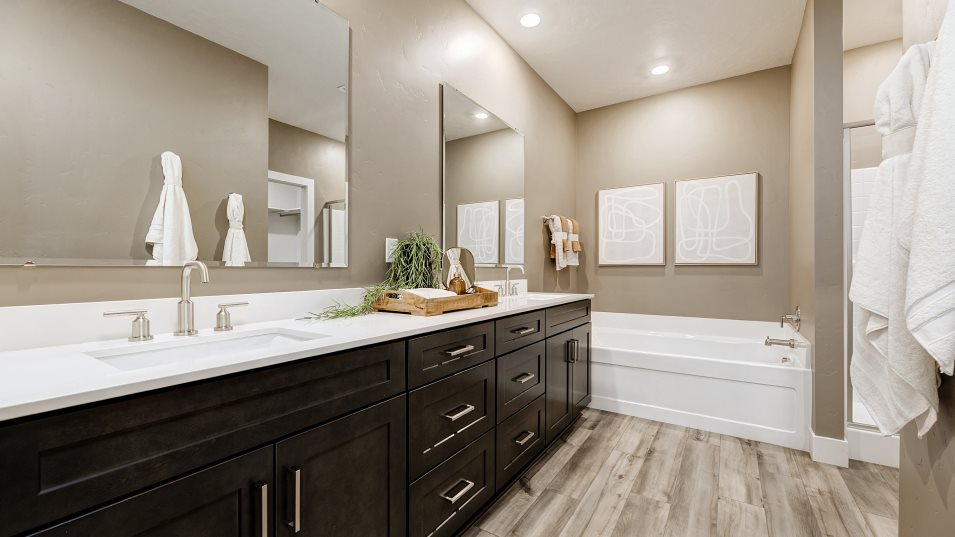 Owner's Bathroom Sinks