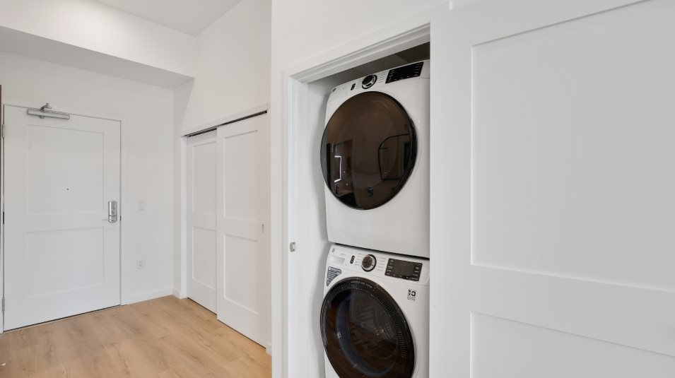 Electric laundry