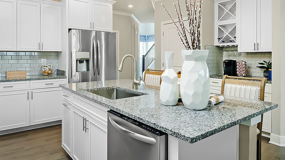 2050 Laguna Kitchen 2of11 F1