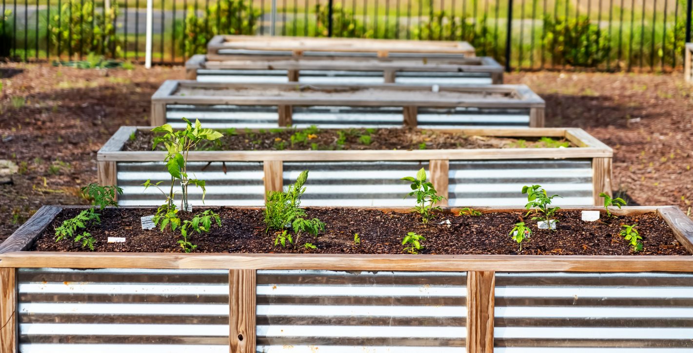 Community Garden