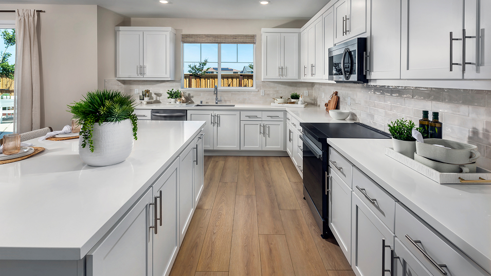 Mezzano Lakeshore Res3 Kitchen 2of2 F1