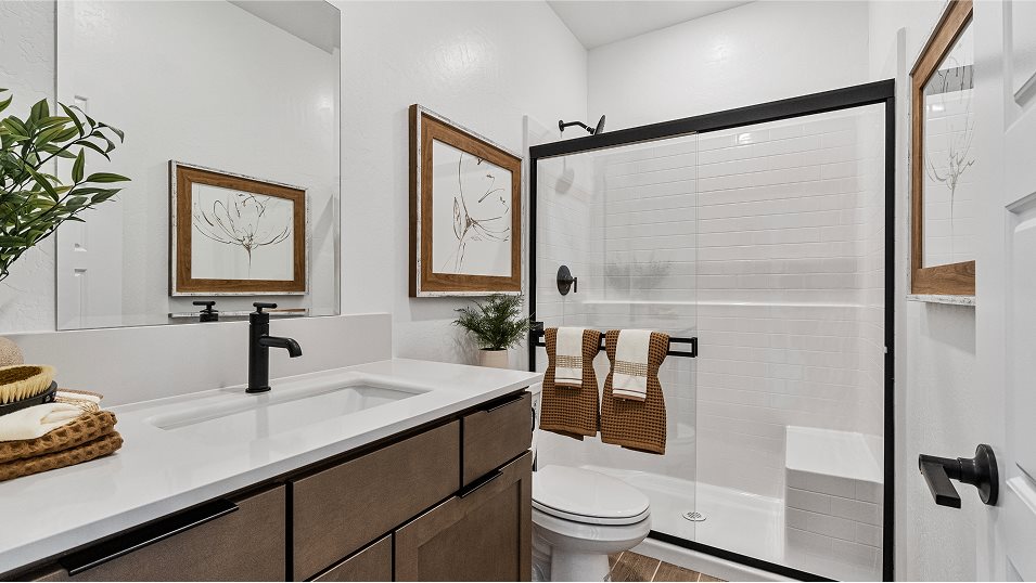 Esplanade Bathroom 2