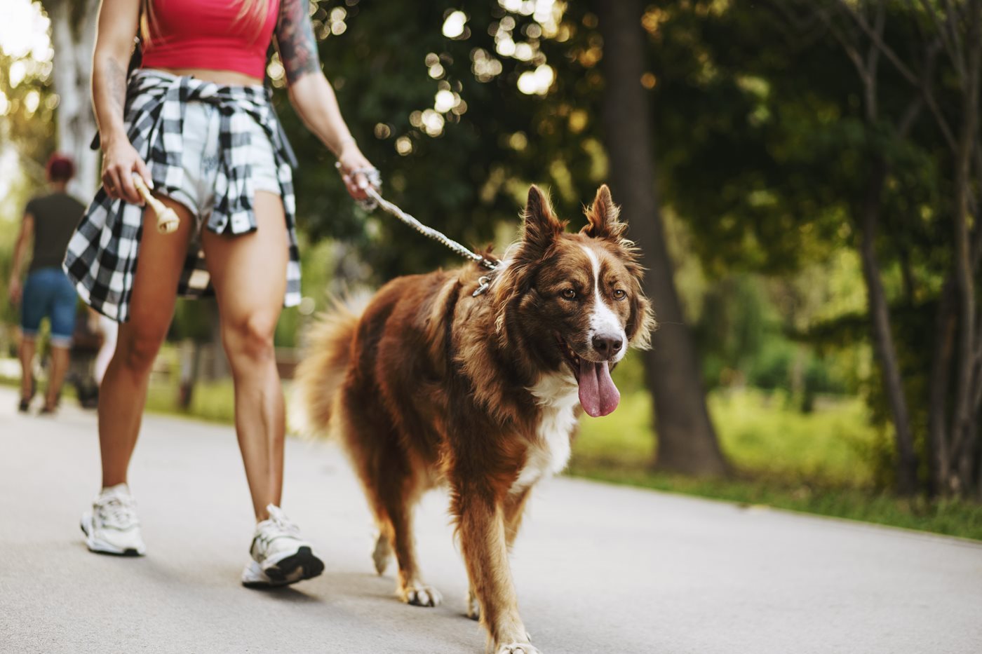 A woman walks her dog on a walking trail