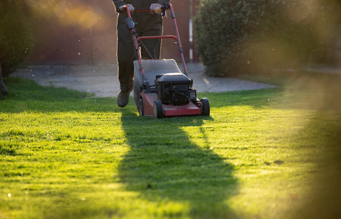 A lawnmower and grass
