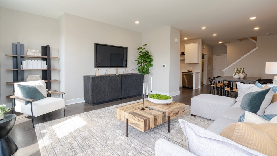 Collins family room
