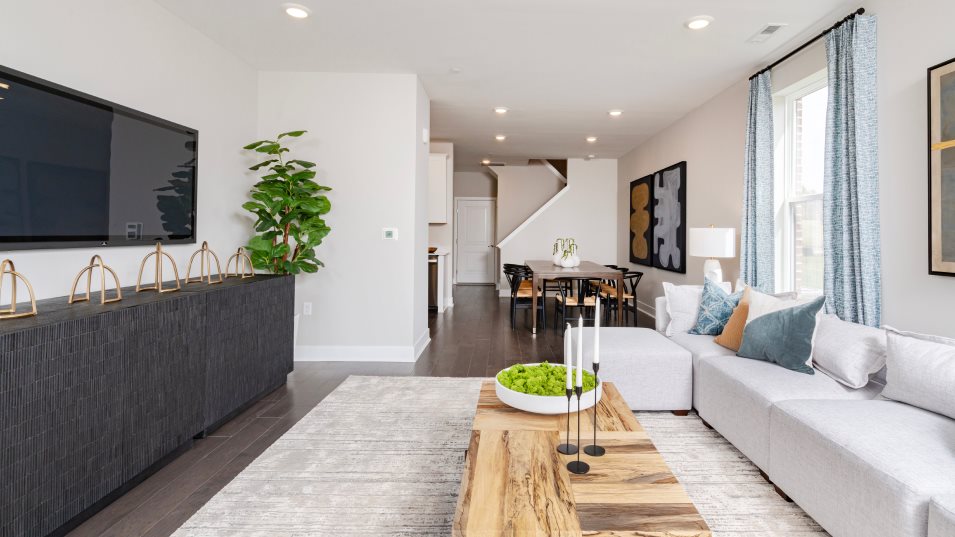 Collins family room